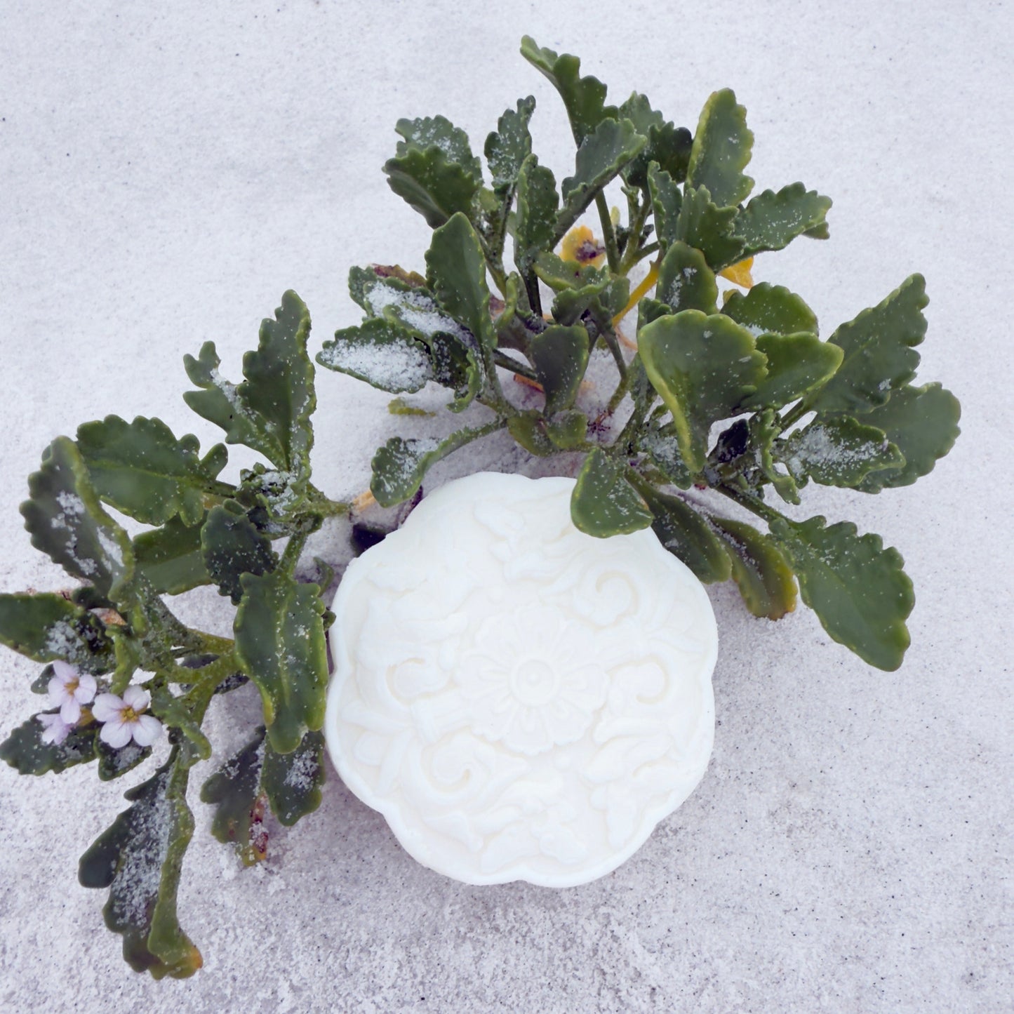 Magnesium Hair Soap - Unscented - Nature