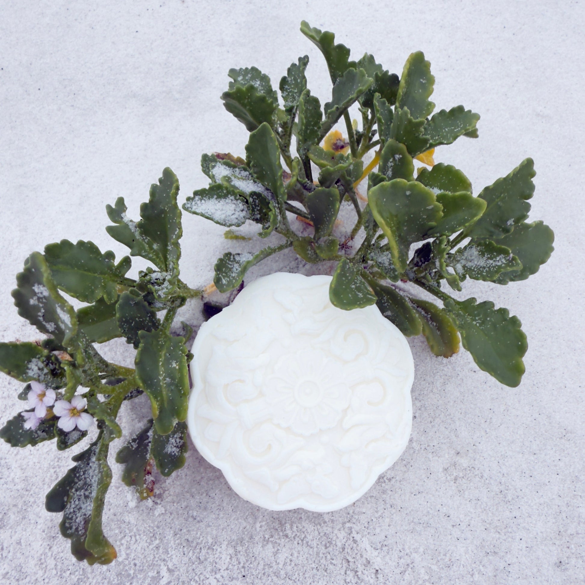 Magnesium Hair Soap - Unscented - Nature