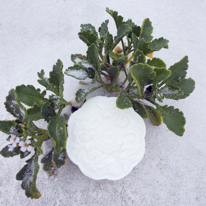 Magnesium Hair Soap - Unscented - Nature